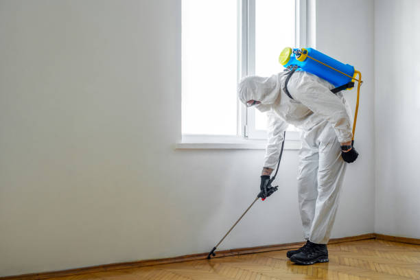 Best Fumigation Services  in Mountain View, CA